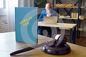 LIABILITY LAW book`s name. Legal liabilityÂ concerns both civilÂ lawÂ and criminalÂ lawÂ and can arise from various